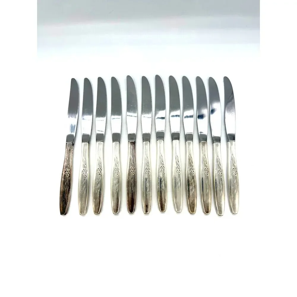 Oneida Community Silver Plate Enchantment Gentle Rose Set of 83 Pieces Flatware